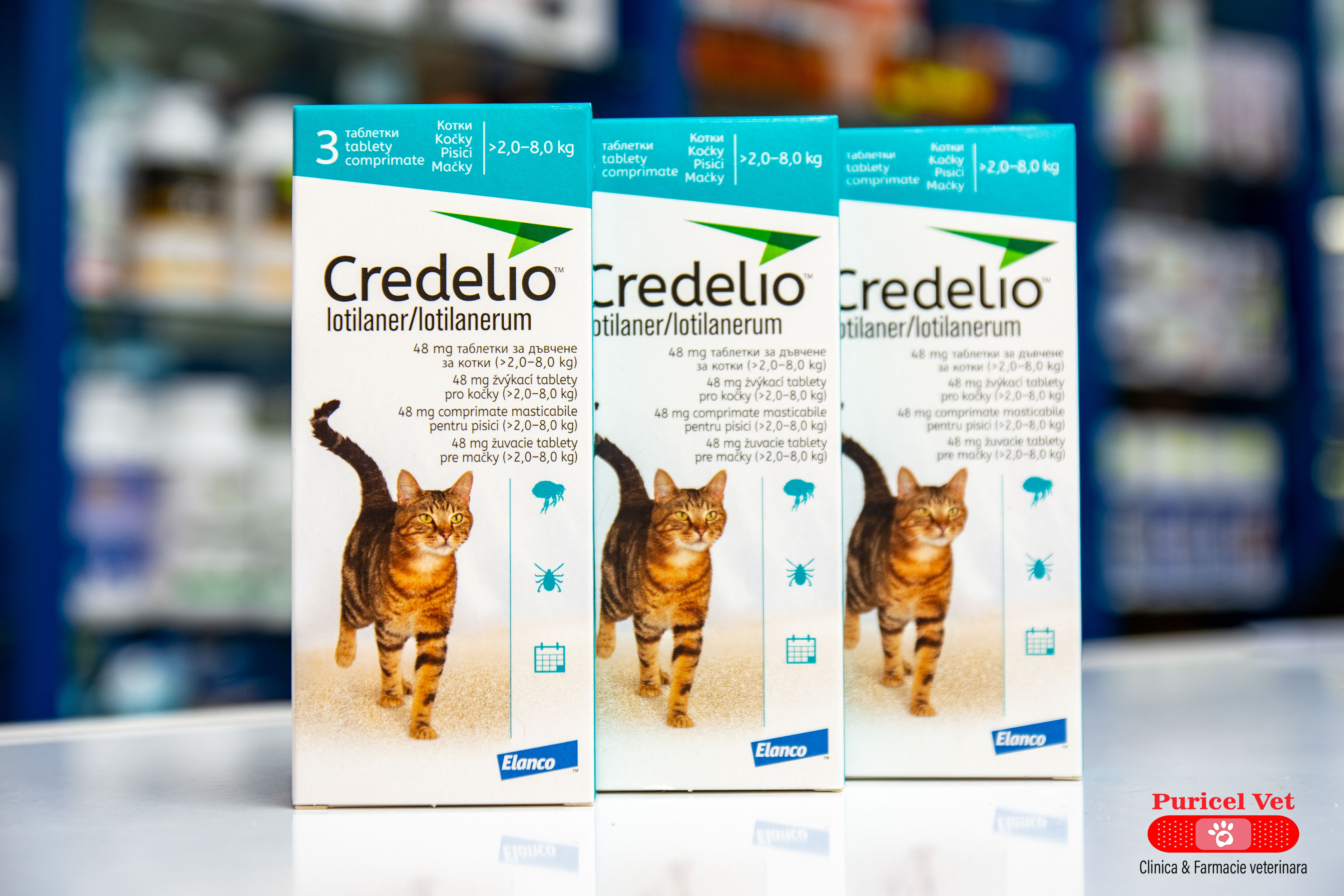 credelio cat 2-8 kg