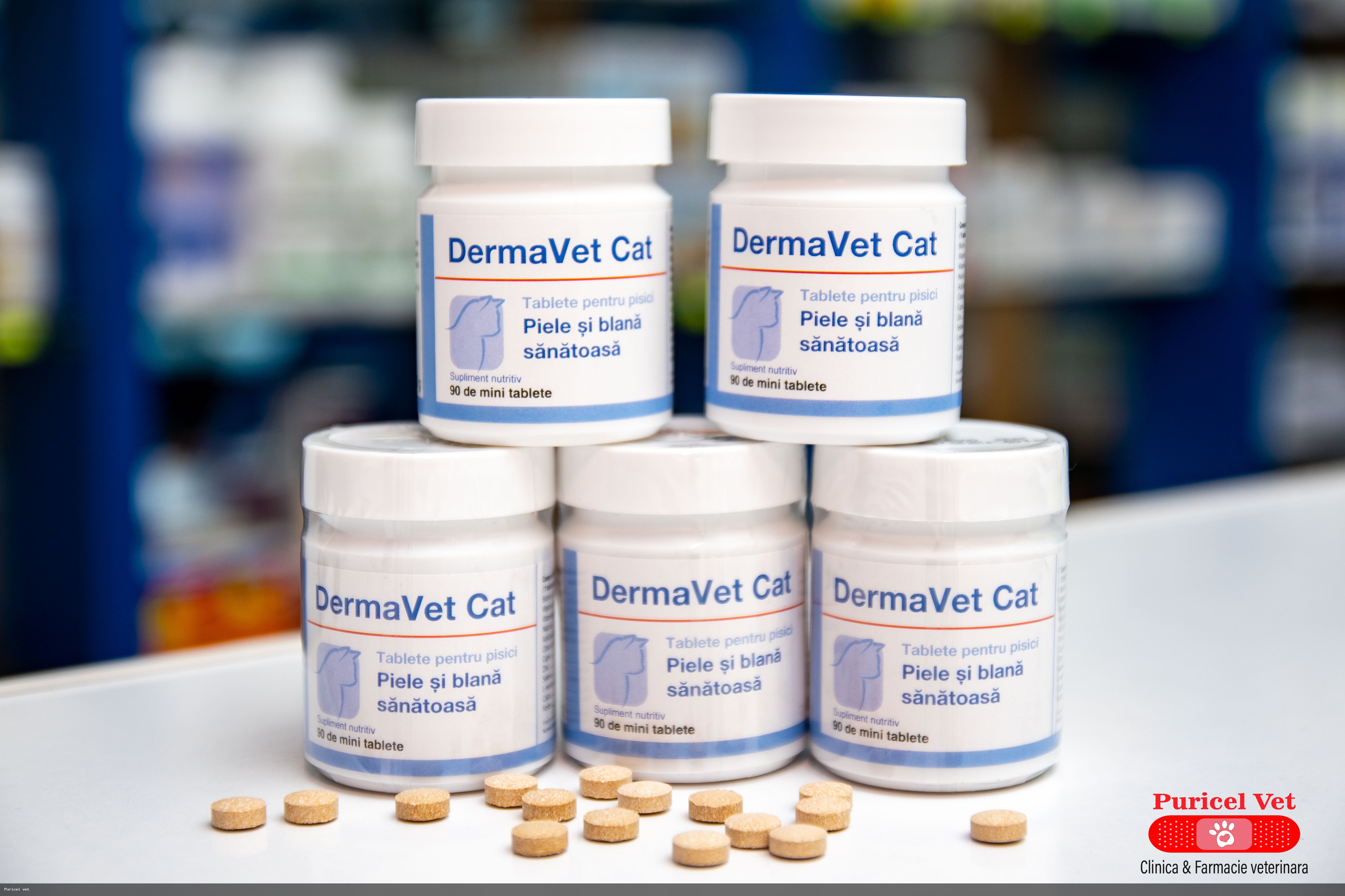 dermavet cat