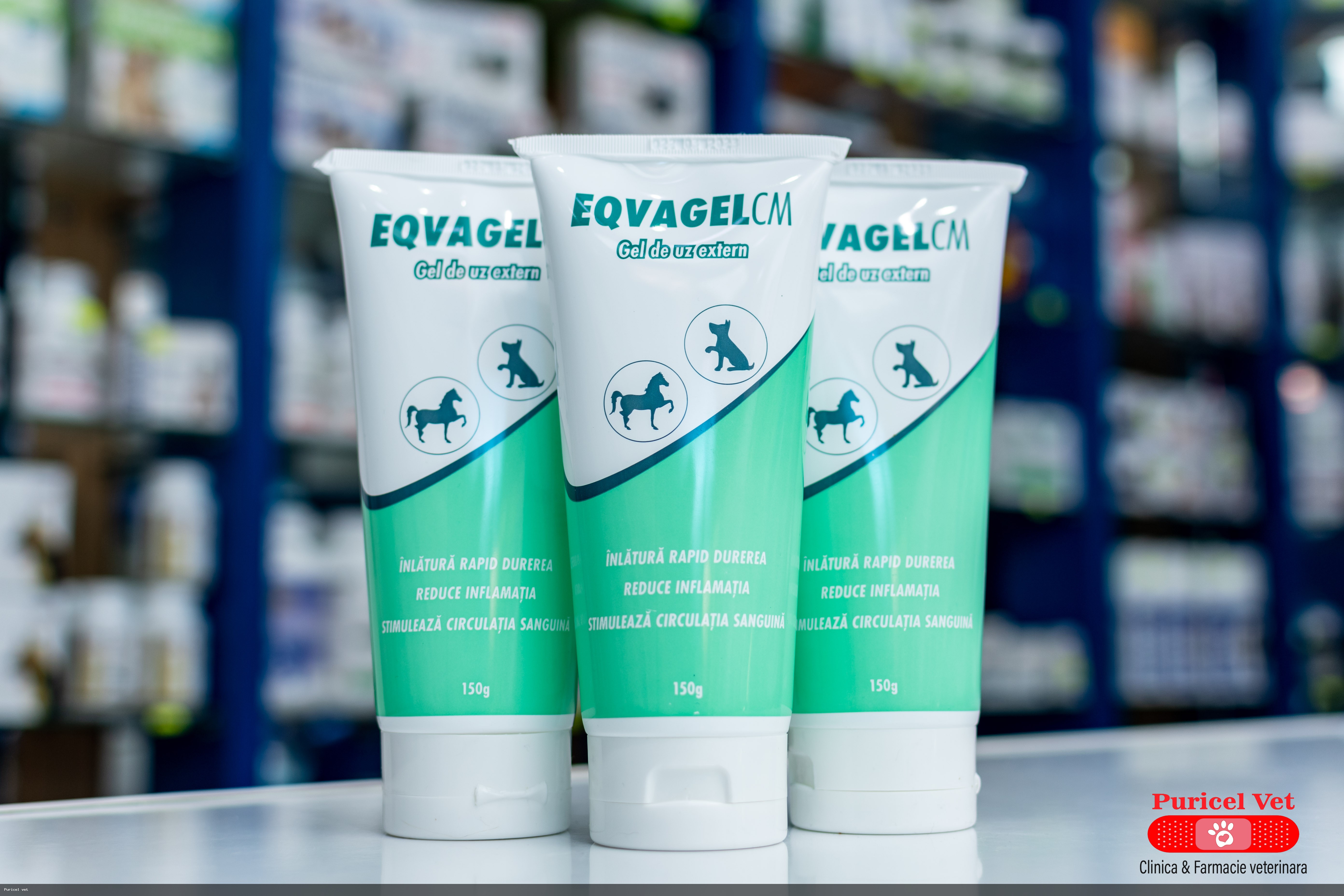 eqvagel cm