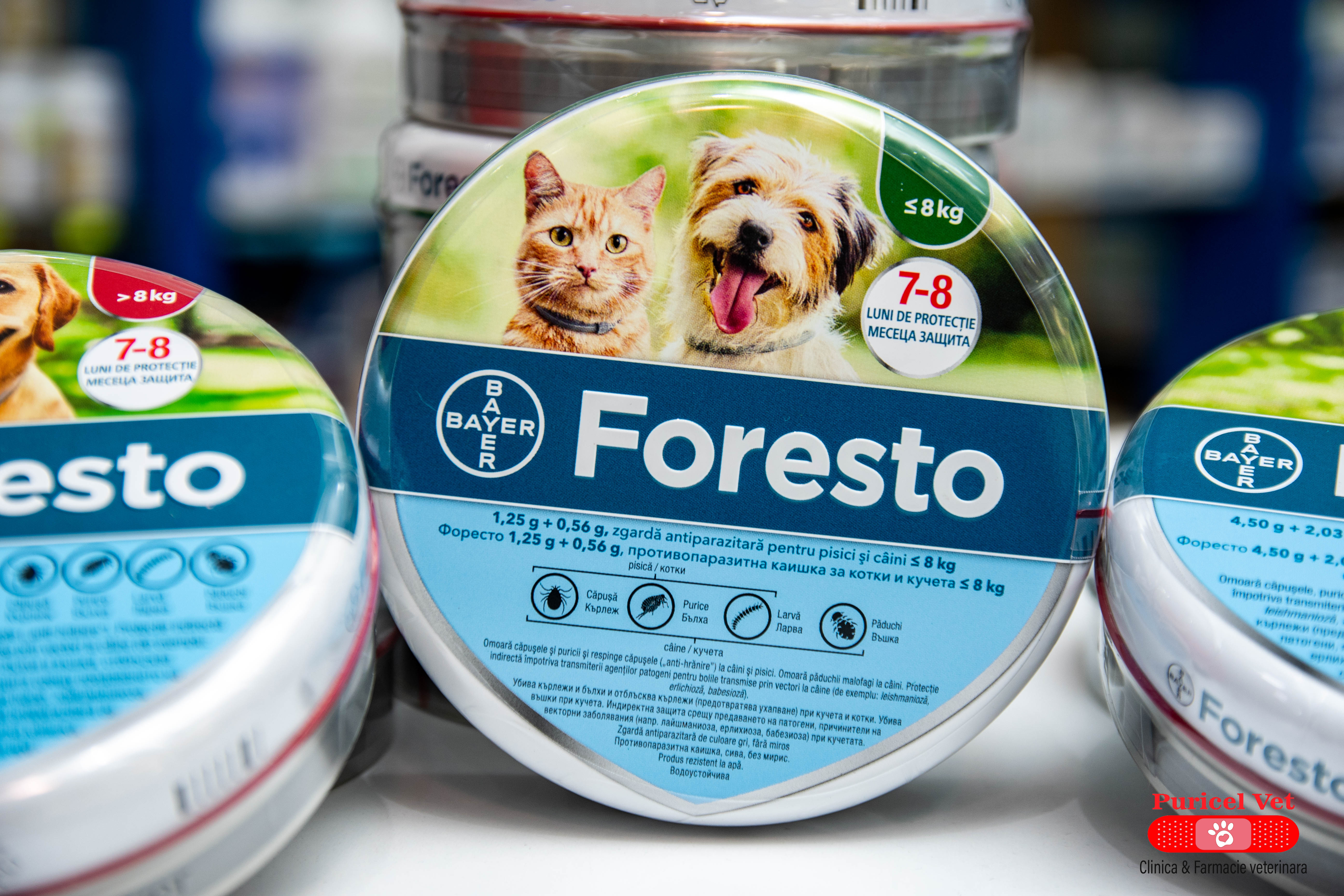 foresto small