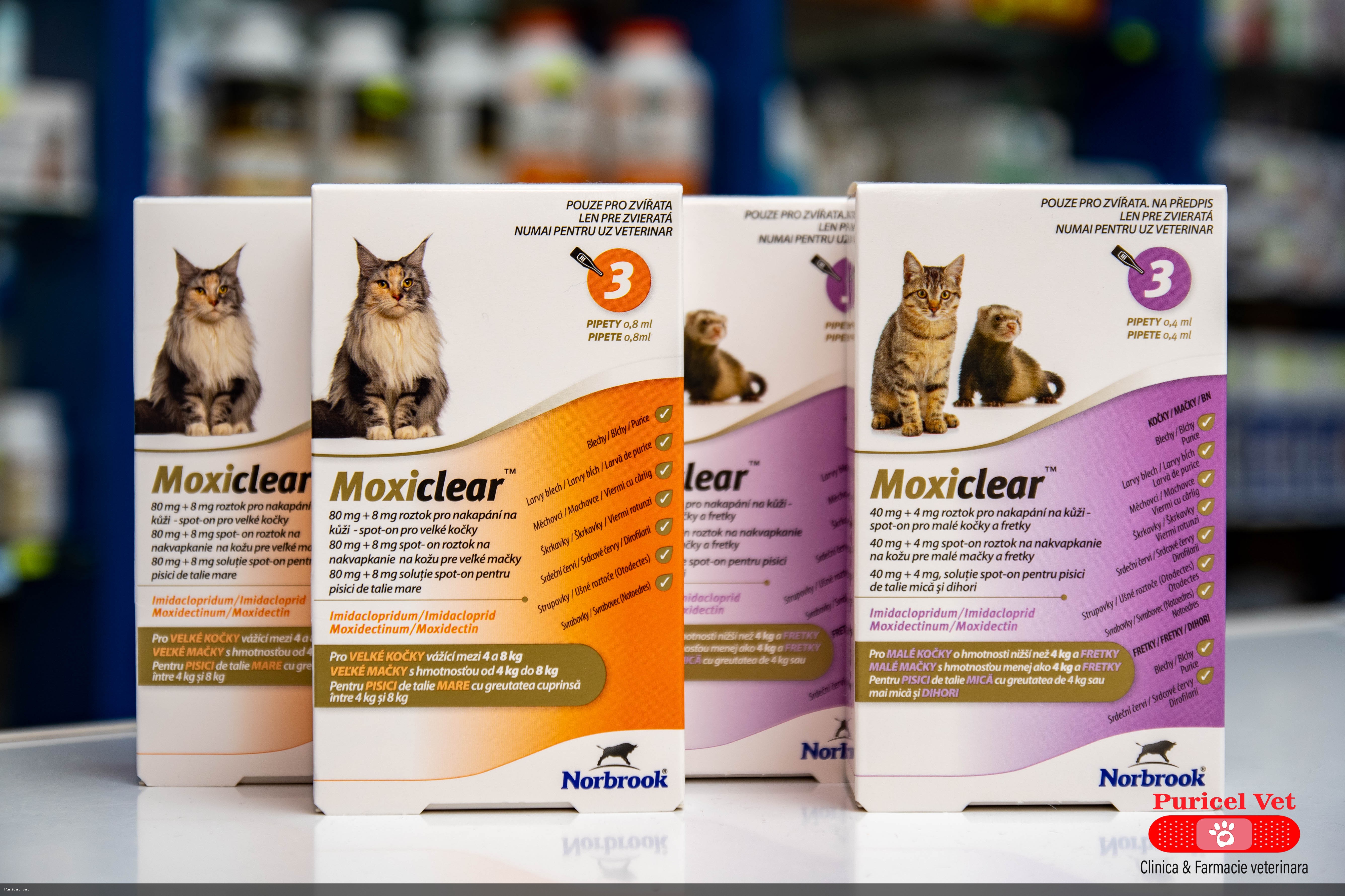 moxiclear cat 0-4 kg